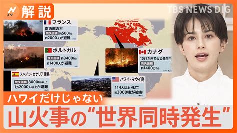 蛇山火事|世界で多発する「山火事」、どうして起きるの？